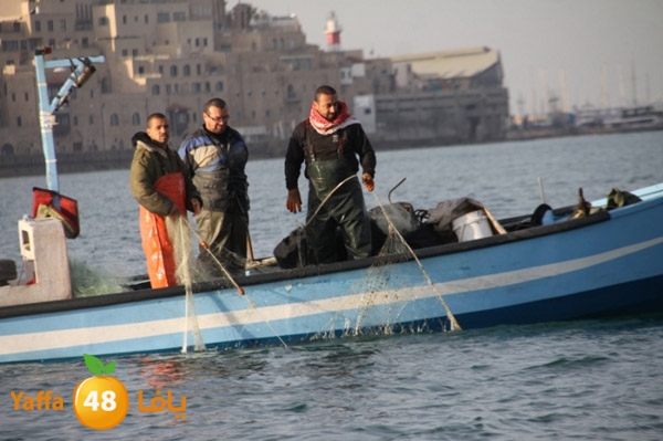 sayyadnewyaffa3 (20).JPG